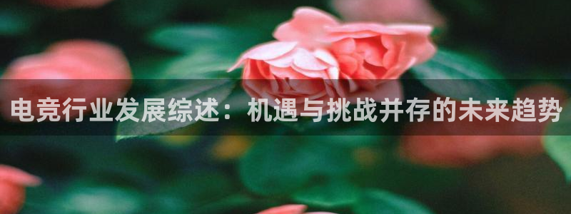 火博电竞：电竞行业发展综述：机遇与挑战并存的未来趋势