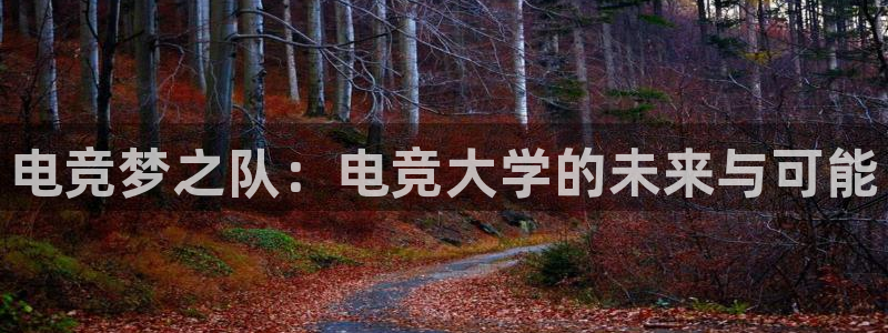 火博电竞app官网网站：电竞梦之队：电竞大学的未来与可能
