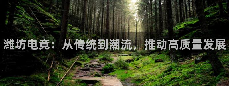 火博电竞网站：潍坊电竞：从传统到潮流，推动高质量发展