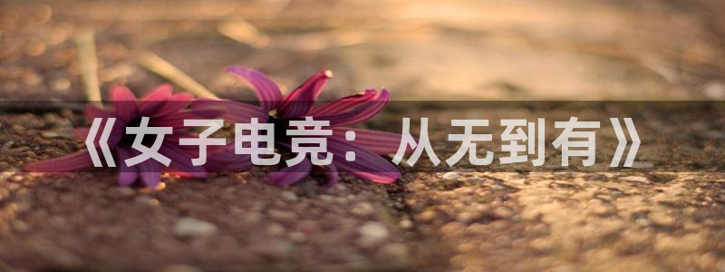 火博电竞官网入口：《女子电竞：从无到有》