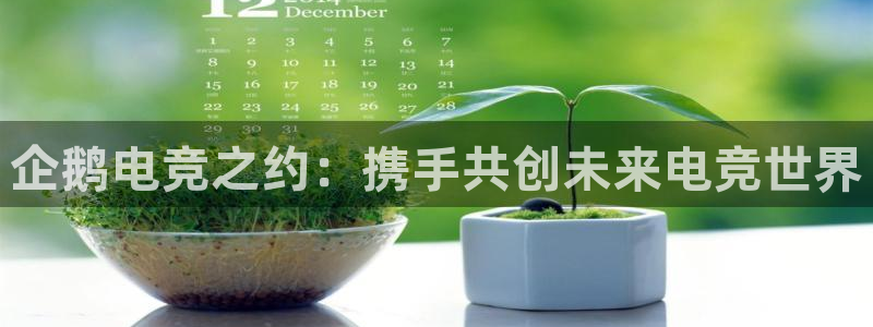 火博电竞app官网网站